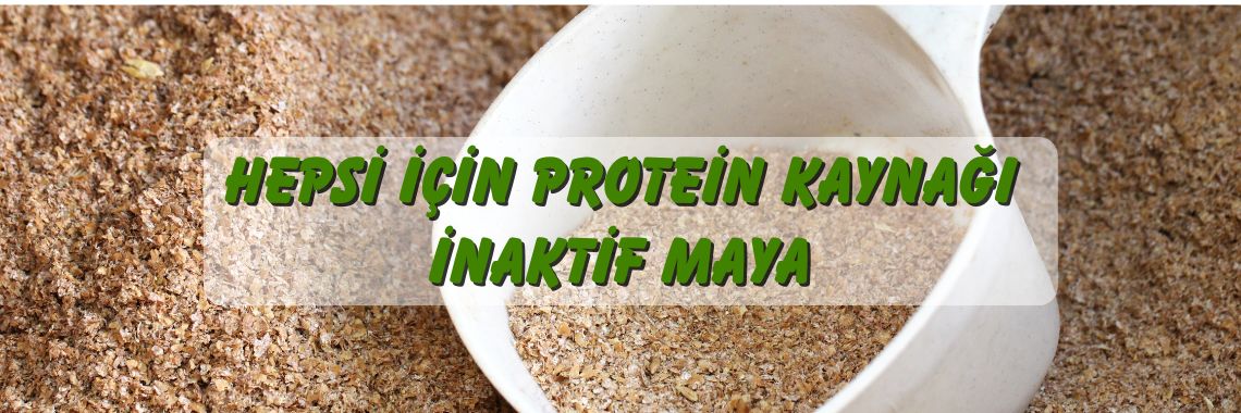 inaktif maya